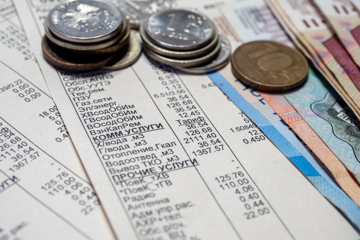 Фото: Олег Золото/«Петербургский дневник»