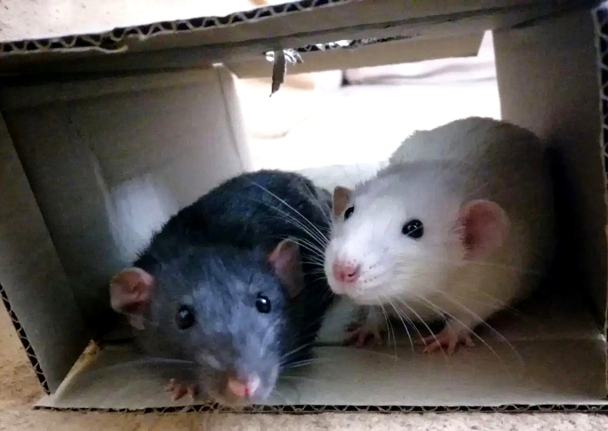 Наши Нафаня и Лютик😍