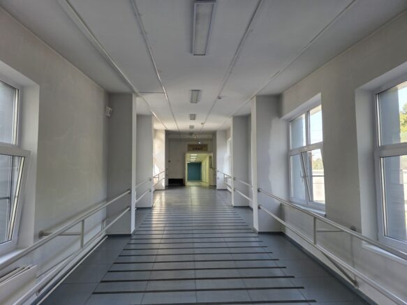    Элина Болдырева