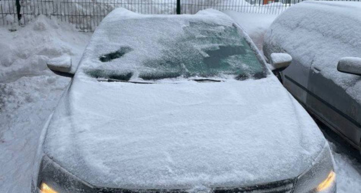    Фото СУ СКР по Чувашии