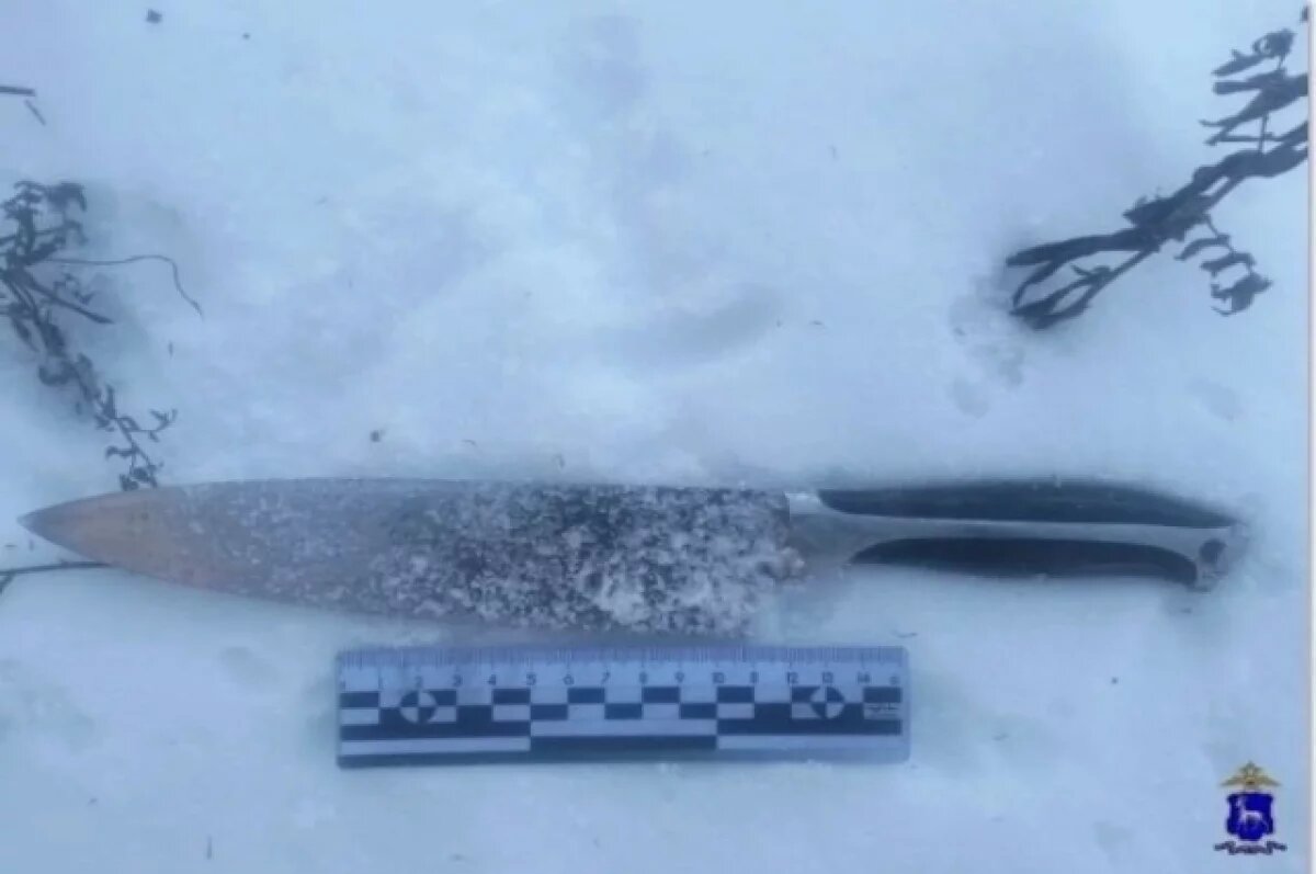    Житель Калининграда ранил ножом бывшего тестя