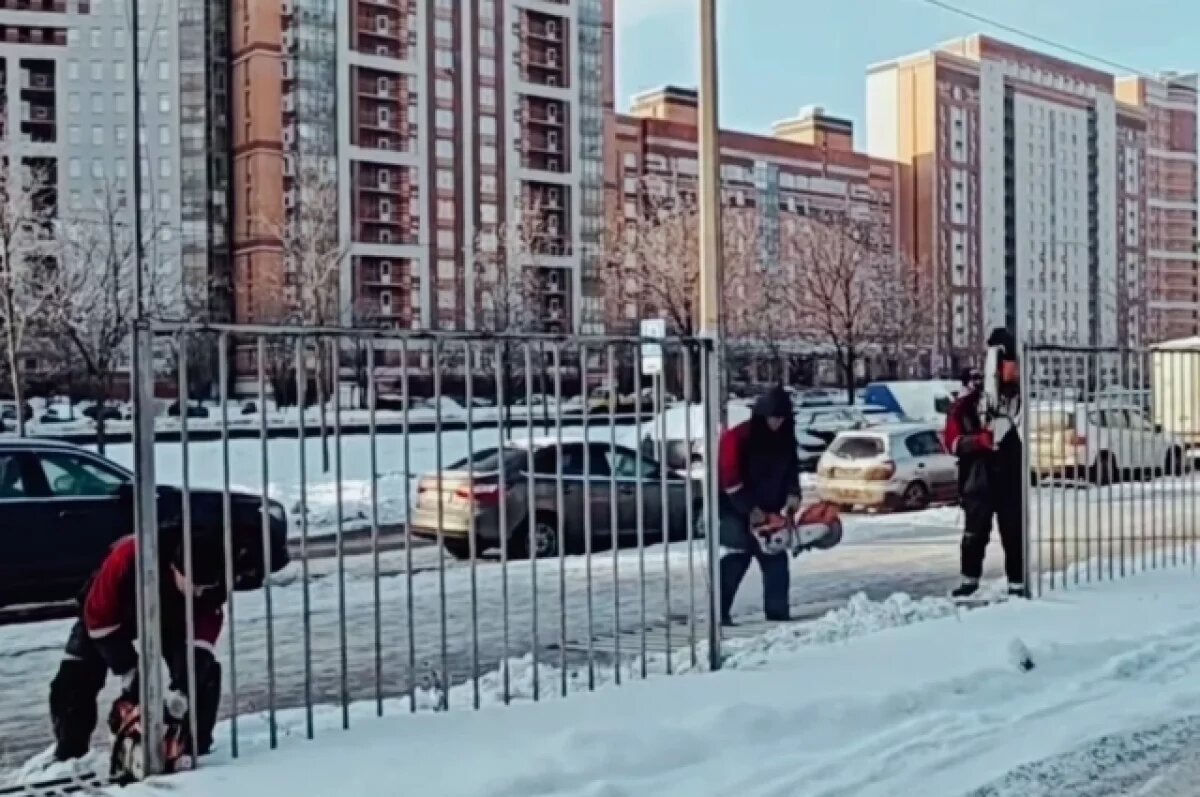    ККИ показал, как уничтожает незаконную автостоянку на Богатырском проспекте