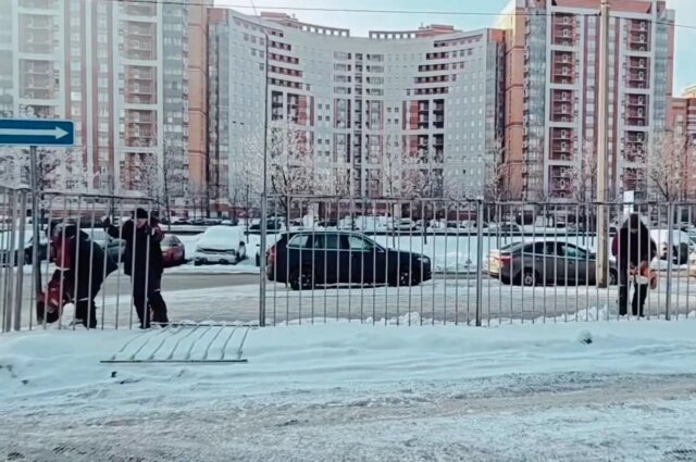    Фото: пресс-служба ККИ/ скриншот видео