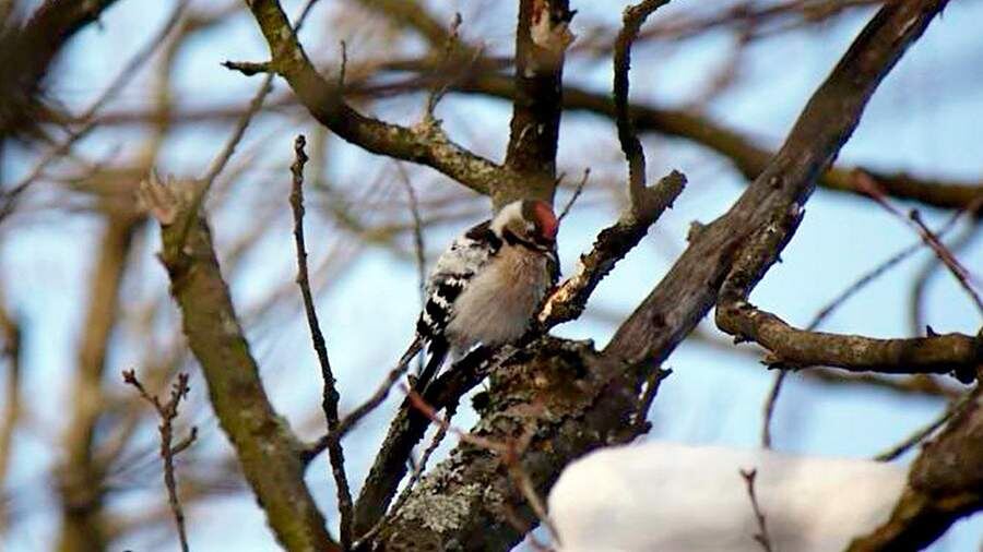    Фото: t.me/kazdoytvaripopare