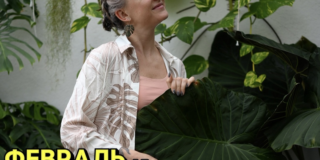 Февраль и удобрения: когда кормить растения и как не навредить