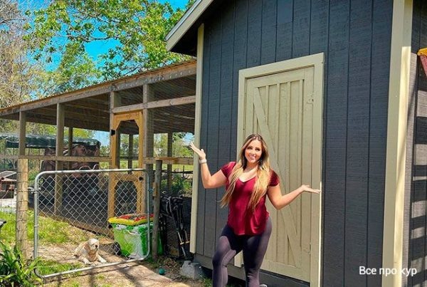 Почему куры орут в 5 утра – и что с этим делать 📢