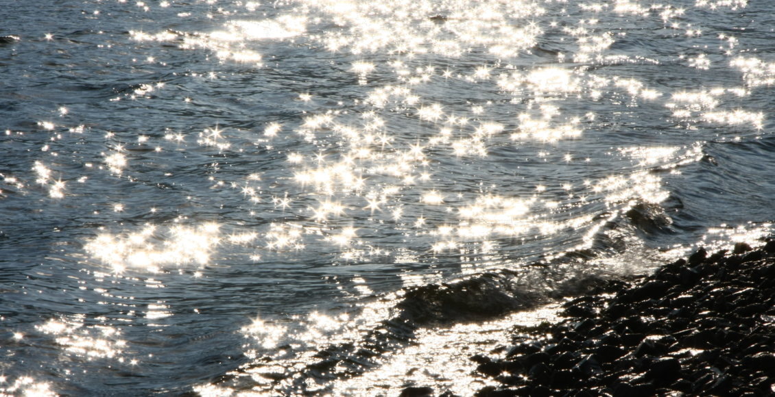    Фото: НИА "Экология"