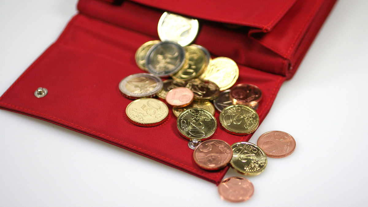    Евро euro кошелек монеты (глп)