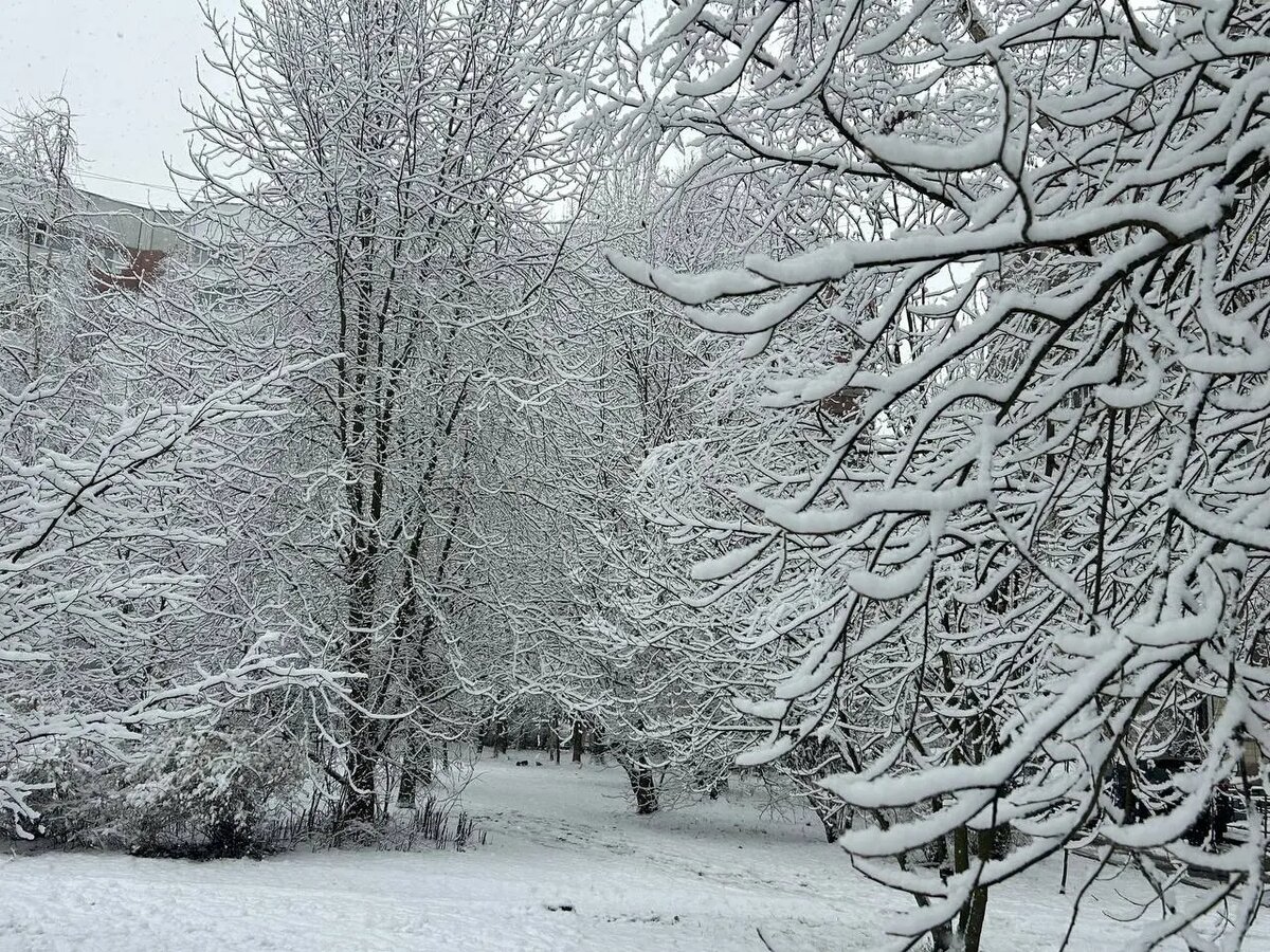    Жанровое фото: Мойка78