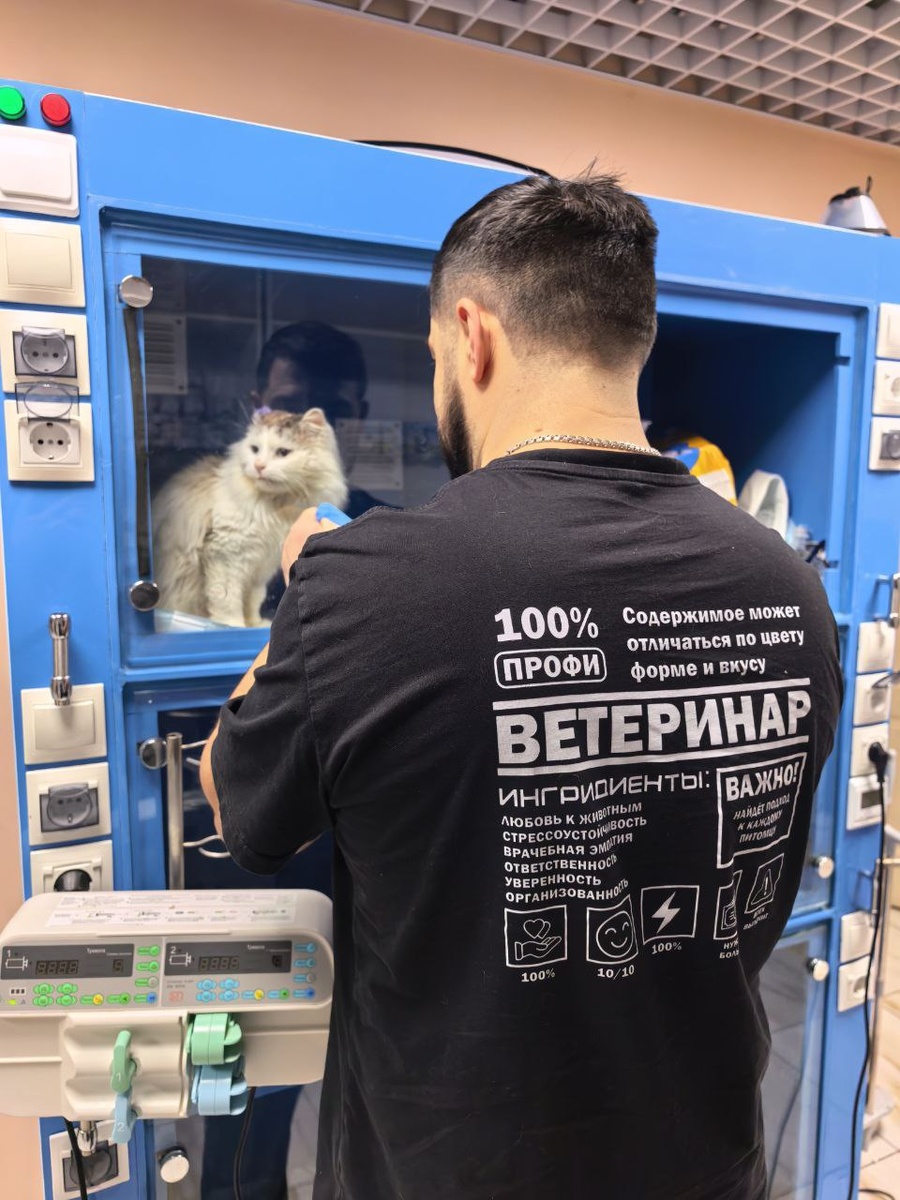 Вот он Кирилл Анатольевич. 100% профи ветеринар – так и есть, подтверждаю) Фото из архива автора