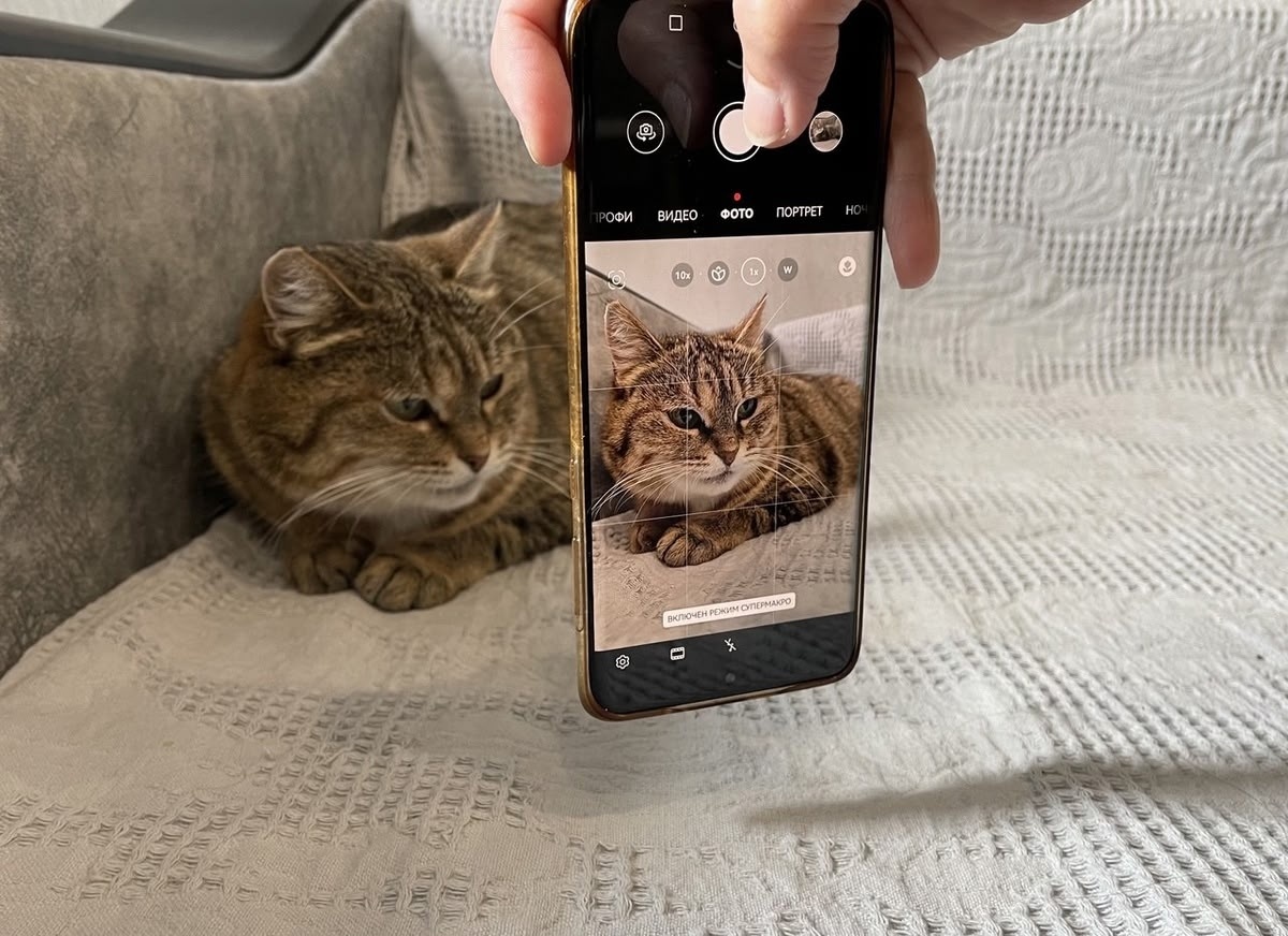 Да, это всего лишь кошка. Может быть в ней нет породы, сложного окраса, но она для меня ососбенная. Она мой друг. И это для меня важнее всего остального. Фото из архива автора