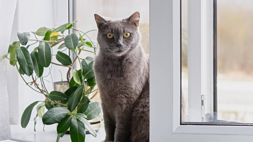    Фото: legion-media/