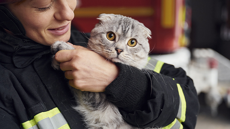    Фото: Getty Images / standret