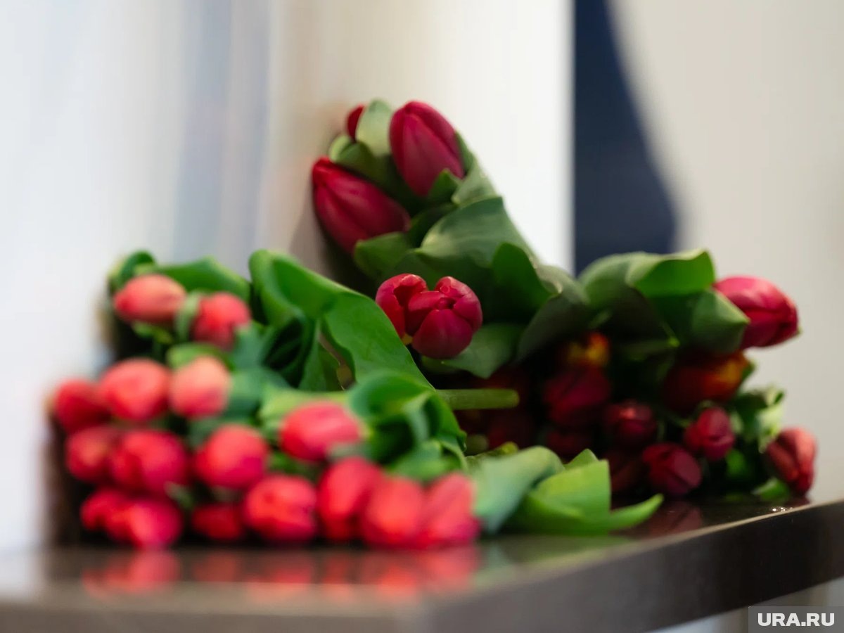     Совсем скоро Россия отметит Международный женский день