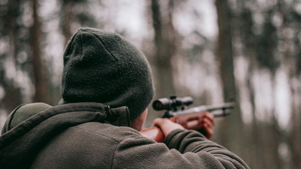    Сезон охоты. Источник: unsplash.com