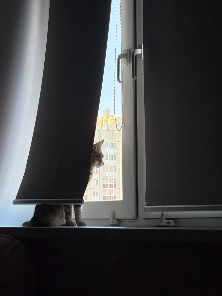 Пока у кого-то утром реабилитация сном, у кого-то научные орнитологические наблюдения 