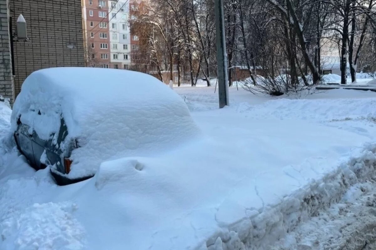   19 февраля в Туле прогнозируют снегопад и порывистый ветер