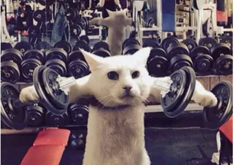 Как получить налоговый вычет за спорт и сколько дадут