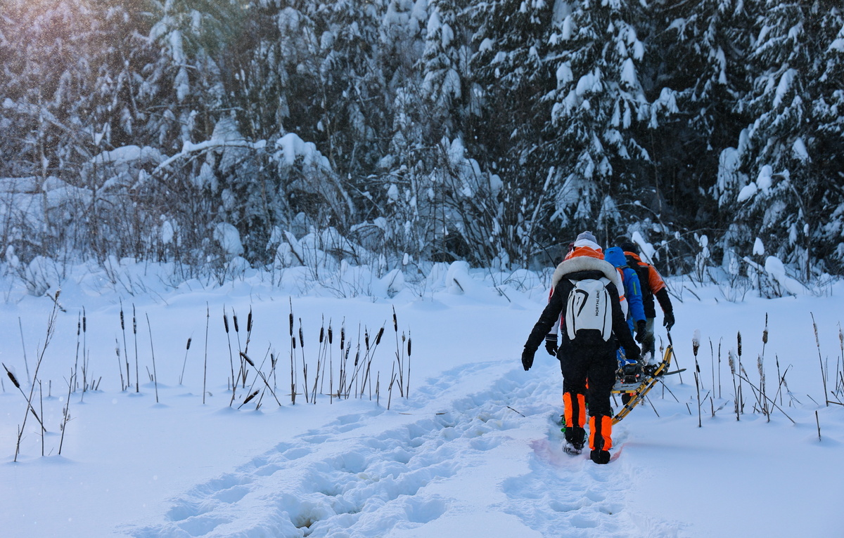 Валерия Косилова/ТАСС, архив