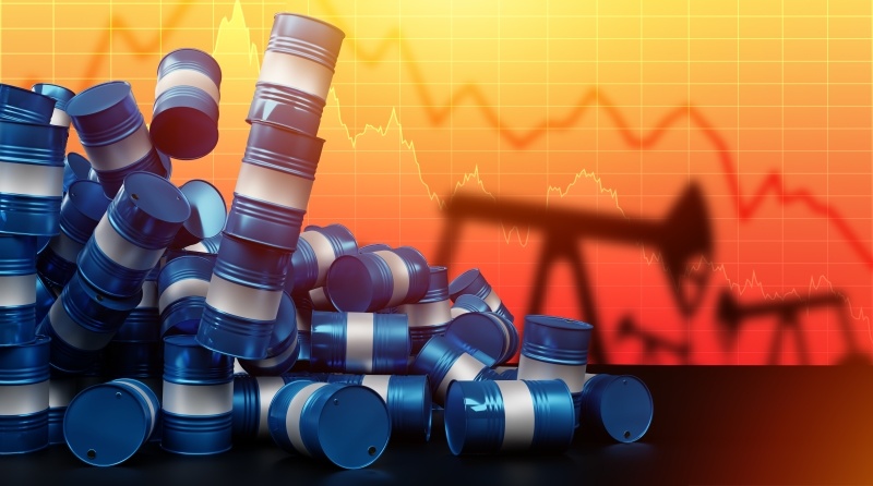    Фото: FOTOGRIN/shutterstock