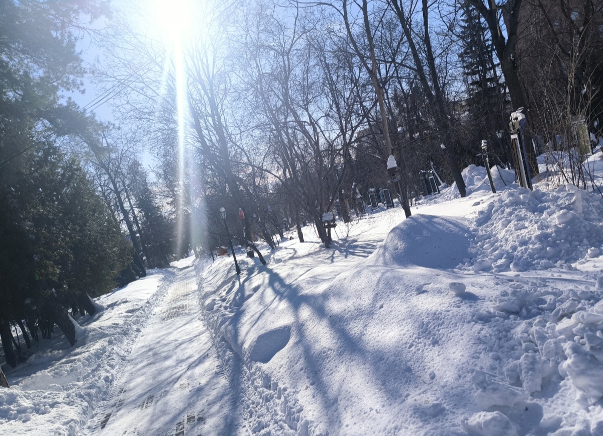 Фотографии в статье авторские 