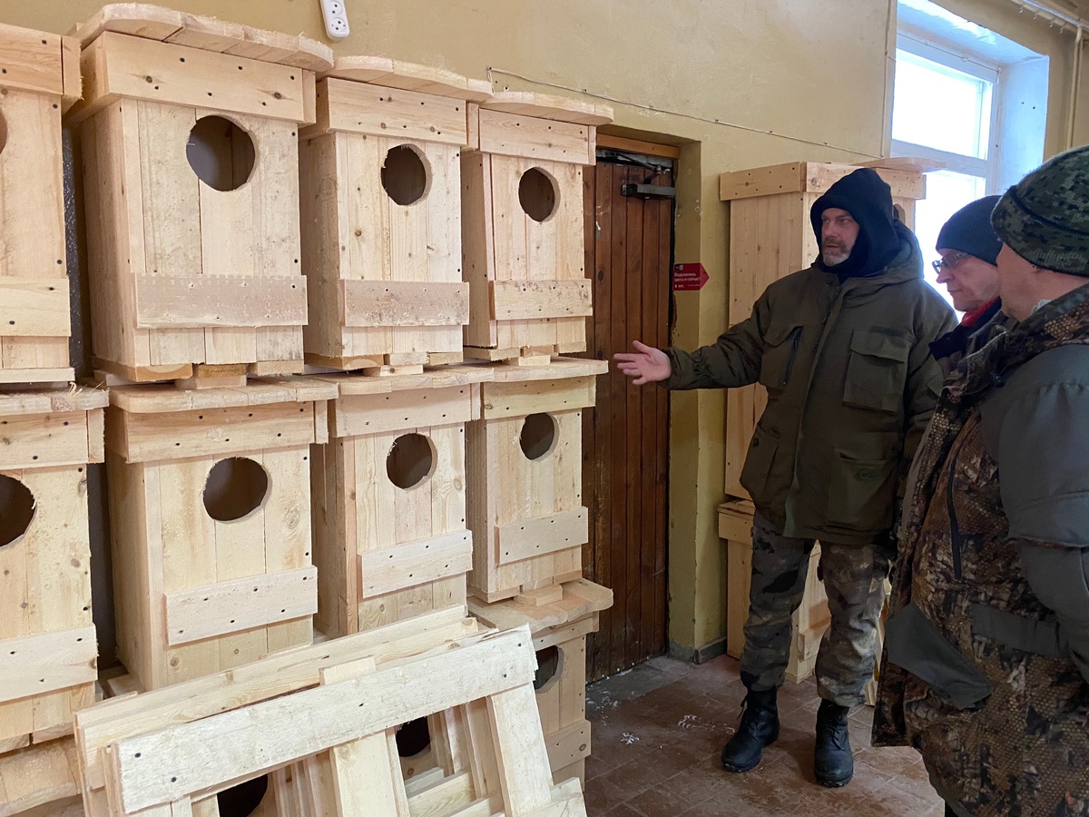    фото: © Национальный парк «Паанаярви» / VK