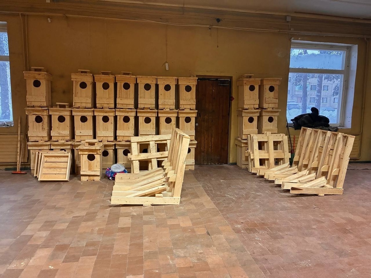    Гнездовья для птиц установят в Национальном парке «Паанаярви»© Национальный парк «Паанаярви» / VK