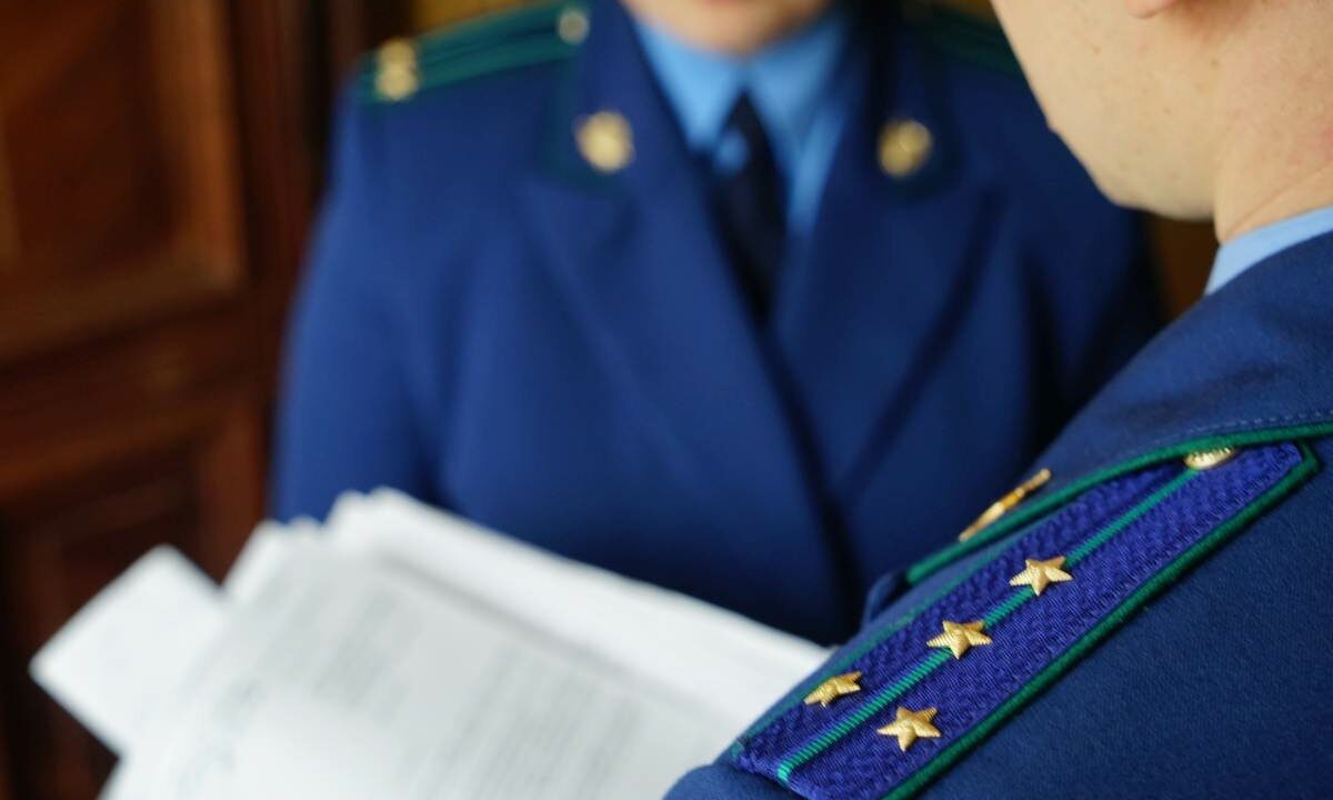    Фото Виктории Перевязко, «Кубань 24»