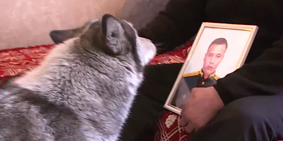 Мужчина спас собаку из развалин, и она готова ждать его вечно: питомец второй год живёт в аэропорту