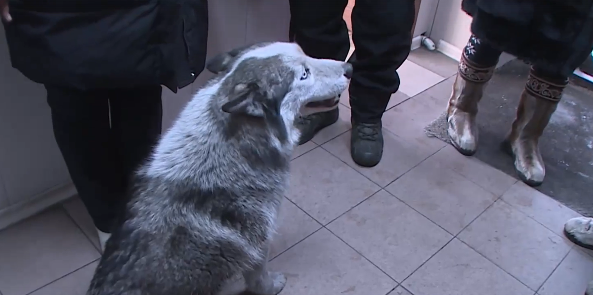 Еще фото --->>