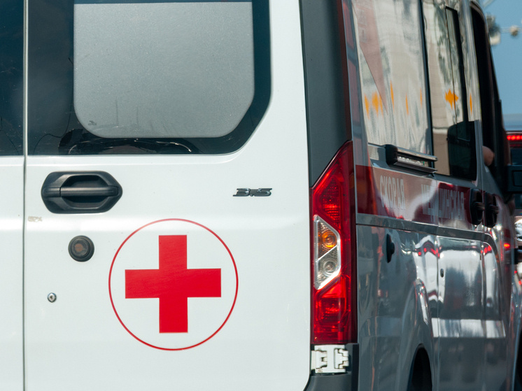     Фото: Svetlana Vozmilova/Global Look Press