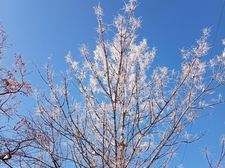     Фото: Вячеслав Коротин