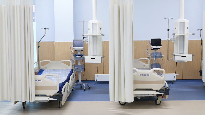    Фото: ИЗВЕСТИЯ/Полина Фиолет; 5-tv.ru