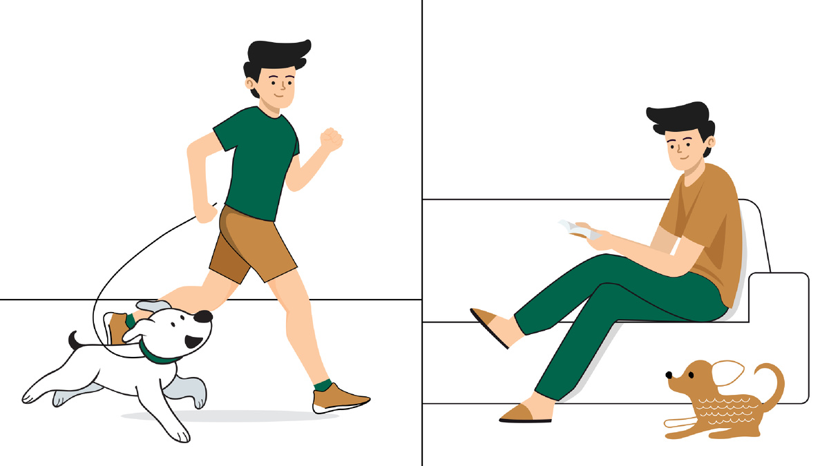 5 вопросов, которые нужно себе задать перед тем, как заводить собаку