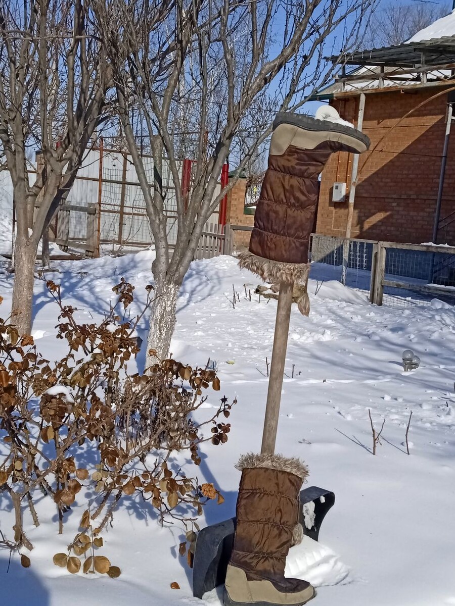 Собственное фото автора. Мои сапоги из 2010 года. Фото от 4 февраля 2026 г.