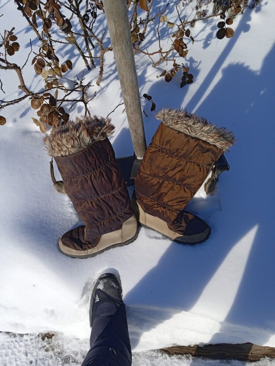 Собственное фото автора. Мои сапоги из 2010 года. Фото от 4 февраля 2026 г.