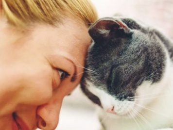 Почему кошка бодает хозяина головой. Что это значит