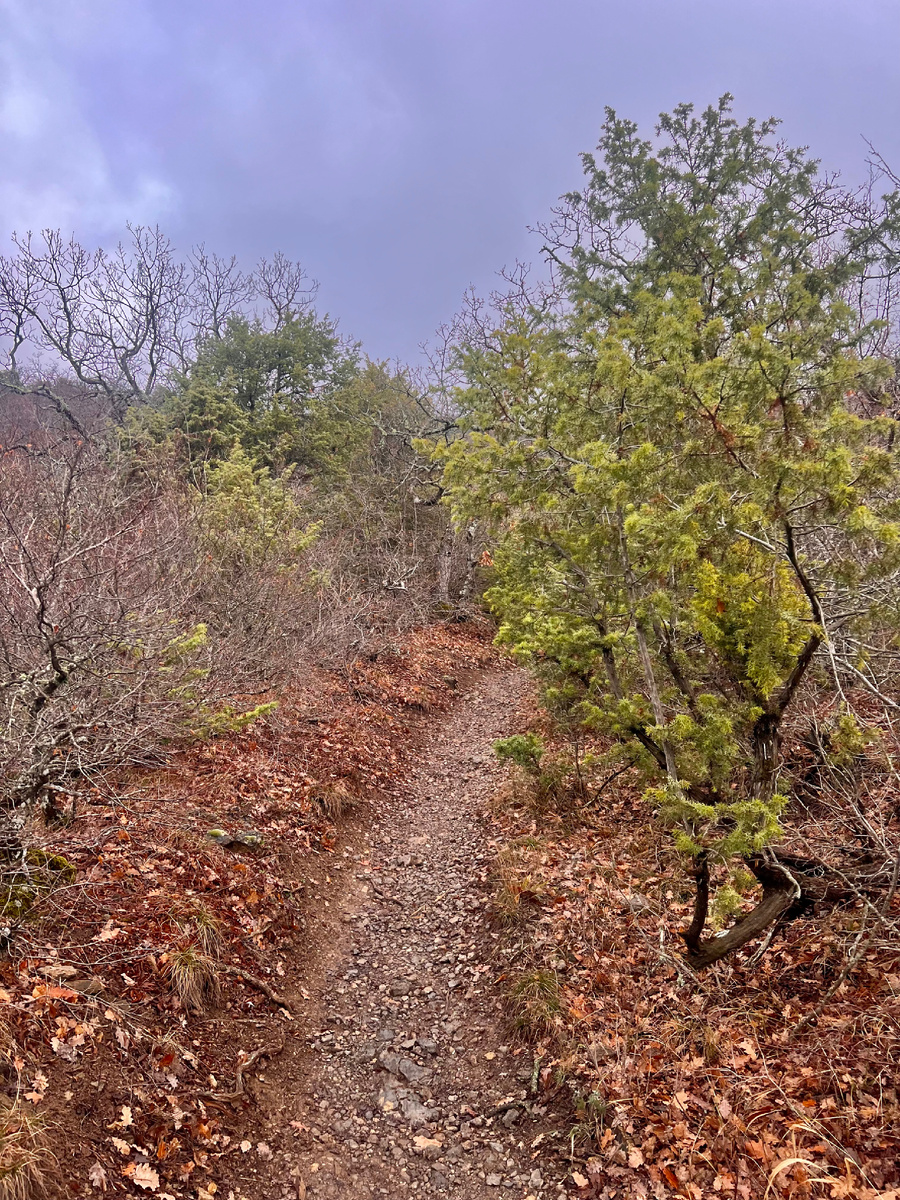 Сиренево-свинцовые тучи 