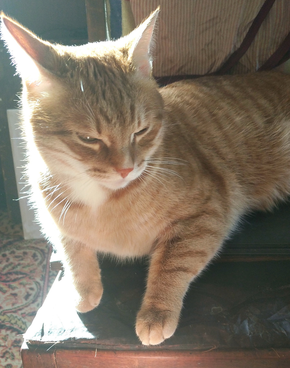 личное фото