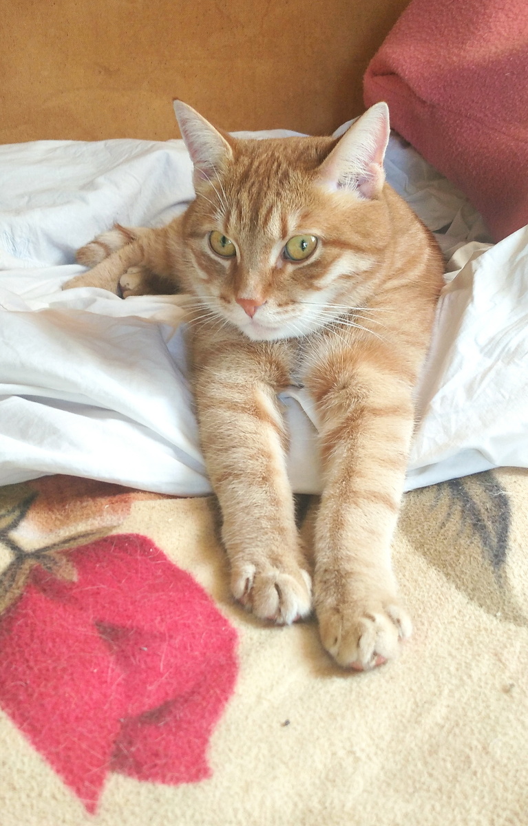 личное фото