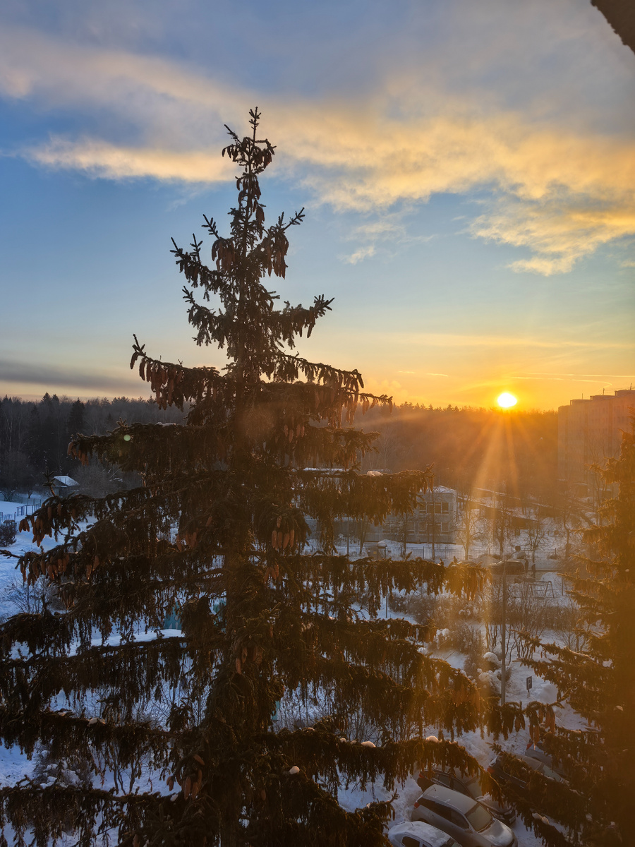 Вид из окна оставляемого дома