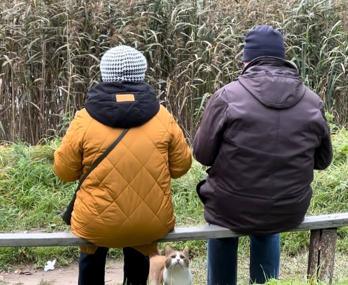     Фото: "Бриф24"