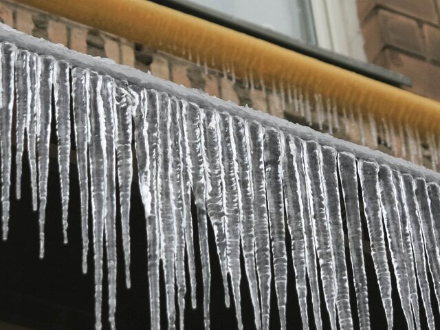    Фото: Москва 24/Роман Балаев