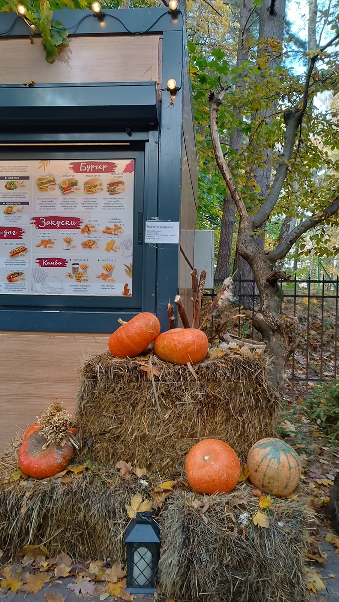 Калининградская область прекрасна осенью