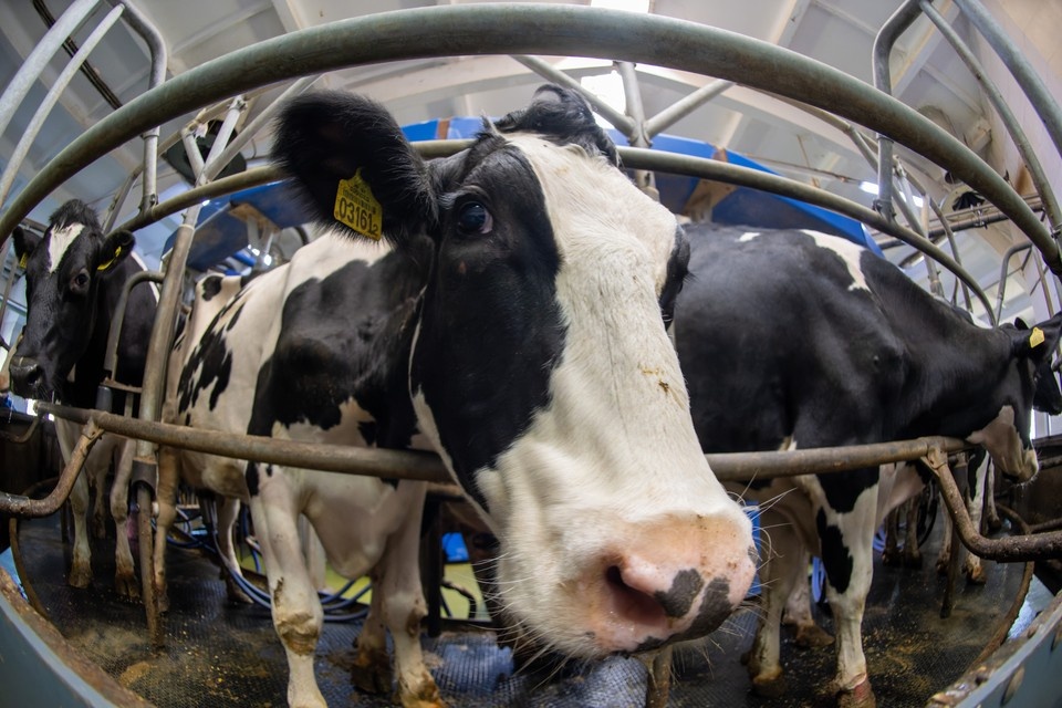   Михаил ФРОЛОВ