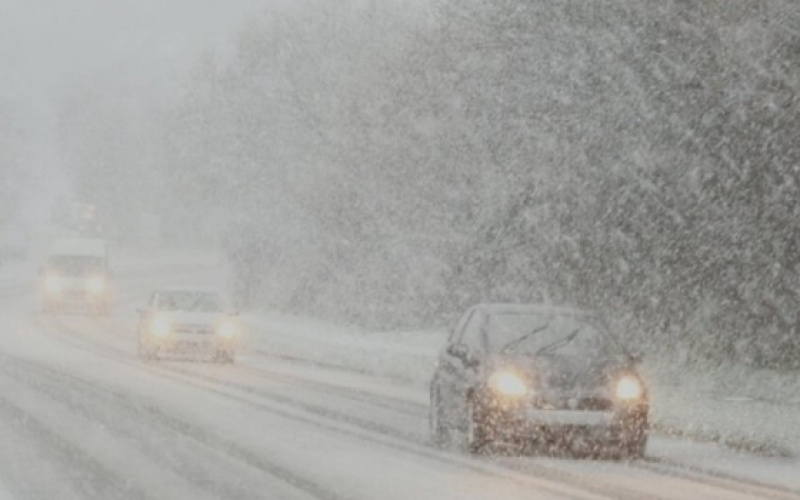    Госавтоинспекция Карелии