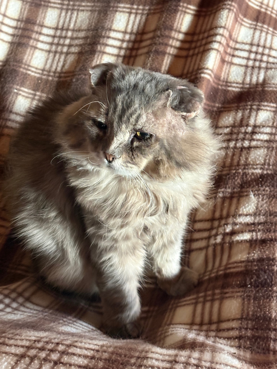 Ну, пойдем-те уже спать! Везде фото автора.