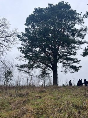 ФОТО предоставили ОрелТаймс Надежда Борзёнкова и Яков Стромский  📷
