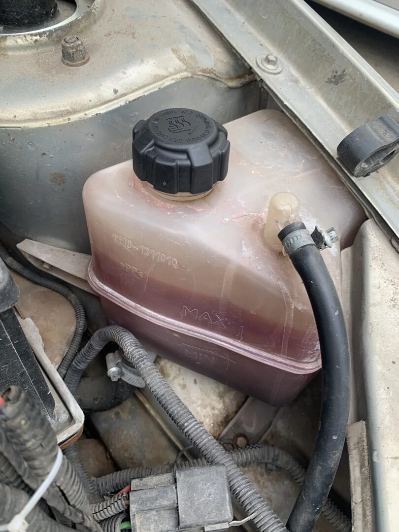 Фото из открытых источников