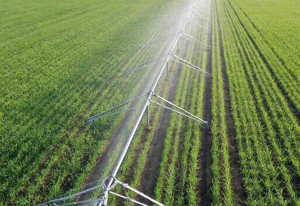     Изображение сгенерировано ИИ